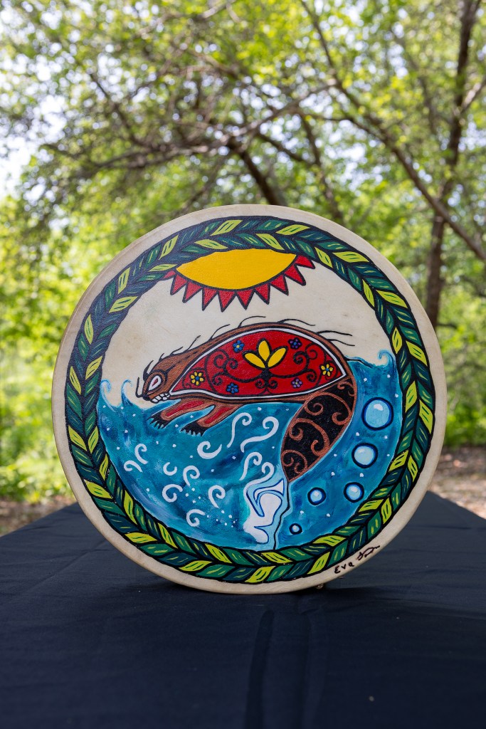 A painted drum featuring a colorful design of a beaver surrounded by water and sun motifs, set against a natural background.
